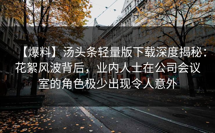 【爆料】汤头条轻量版下载深度揭秘：花絮风波背后，业内人士在公司会议室的角色极少出现令人意外