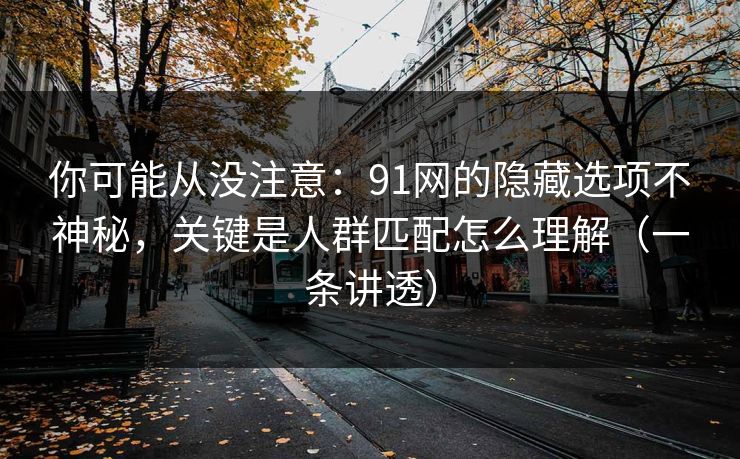 你可能从没注意：91网的隐藏选项不神秘，关键是人群匹配怎么理解（一条讲透）