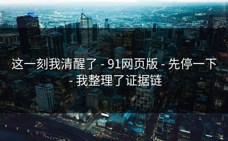 这一刻我清醒了 - 91网页版 - 先停一下 - 我整理了证据链