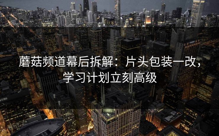 蘑菇频道幕后拆解：片头包装一改，学习计划立刻高级