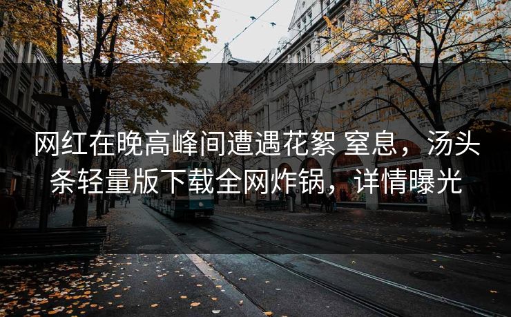网红在晚高峰间遭遇花絮 窒息,汤头条轻量版下载全网炸锅,详情曝光 网红在晚高峰间遭遇花絮 窒息,汤头条轻量版下载全网炸锅,详情曝光
